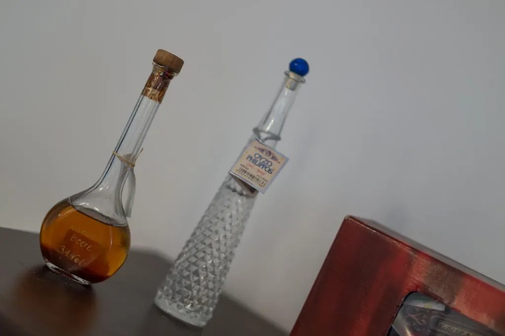 公寓 普拉 Apartman Jovic酒店